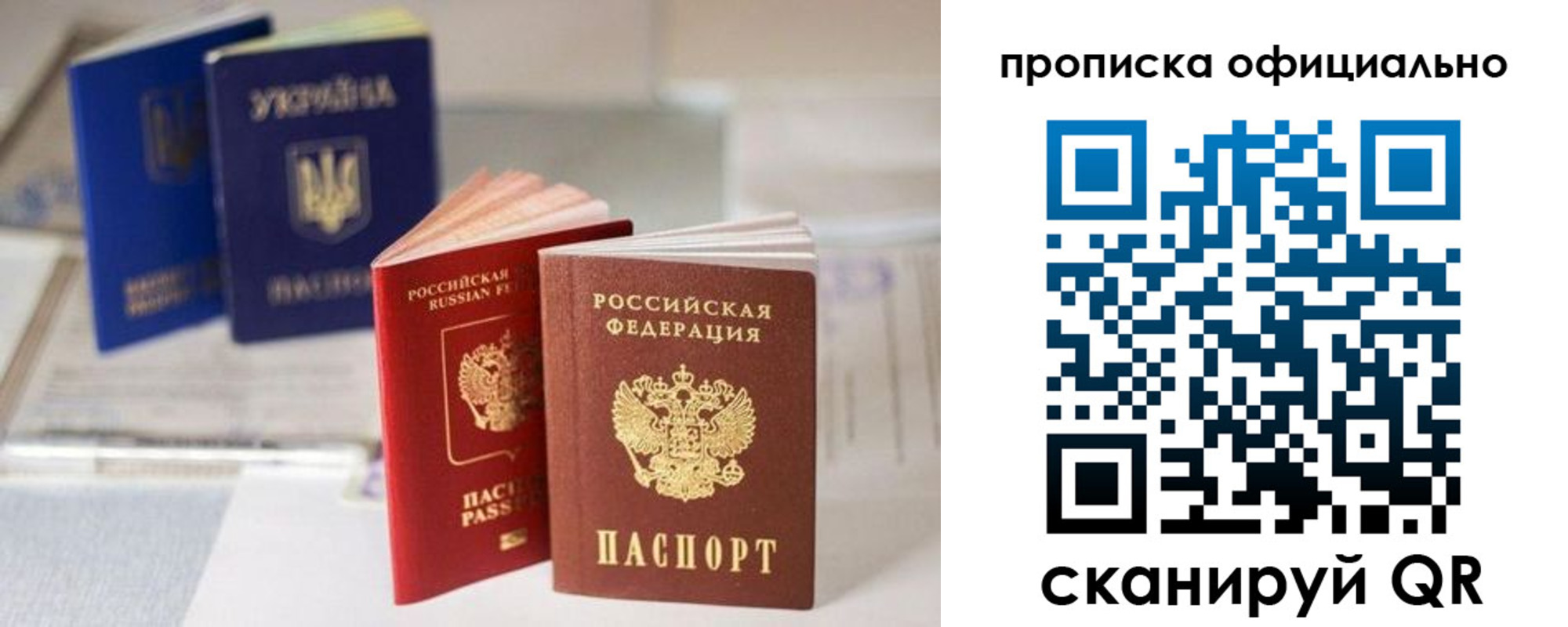 прописка поиск в Кимовске